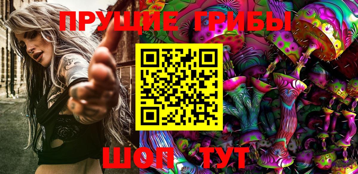 Псилоцибиновые грибы Psilocybe Светлоград