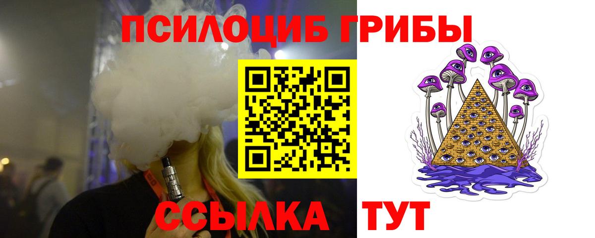 Псилоцибиновые грибы MAGIC MUSHROOMS  Вход с VPN  Светлоград 